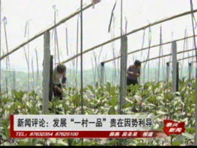 新聞評論:發展“一村一品”,貴在因勢利導