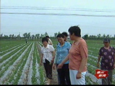 記者觀察:發(fā)展規(guī)模高效農(nóng)業(yè) 低投入也能高產(chǎn)出