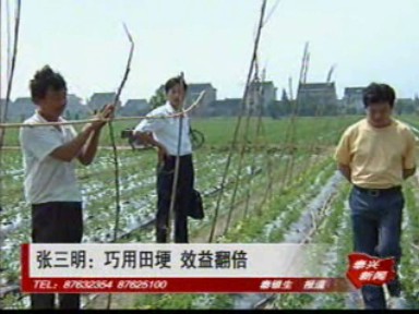 張三明:巧用田埂 效益翻倍