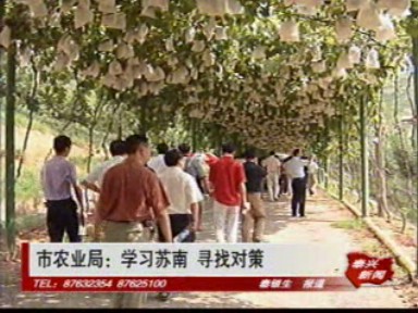 市農業局:學習蘇南 尋找對策