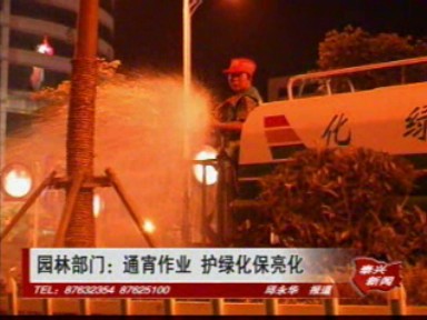 園林部門:通宵作業 護綠化保亮化