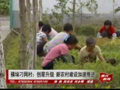 橫垛刁網(wǎng)村:創(chuàng)星升級(jí) 新農(nóng)村建設(shè)加速推進(jìn)