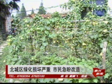 北城區(qū)綠化損壞嚴(yán)重 市民急盼改造