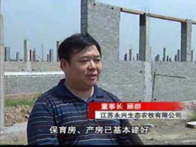 全市最大生豬養(yǎng)殖基地在姚王開工建設