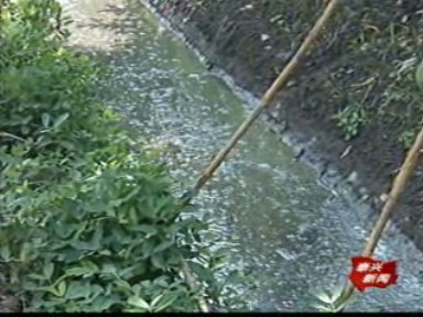 橫垛官垛:養(yǎng)雞上規(guī)模 環(huán)境遭污染