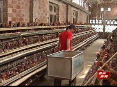 發(fā)展高效種養(yǎng)業(yè) 促進村富民強