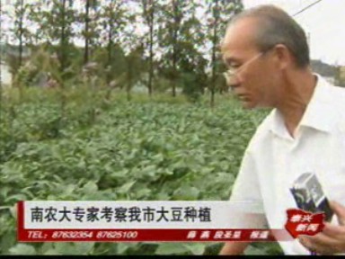 南農(nóng)大專家考察我市大豆種植