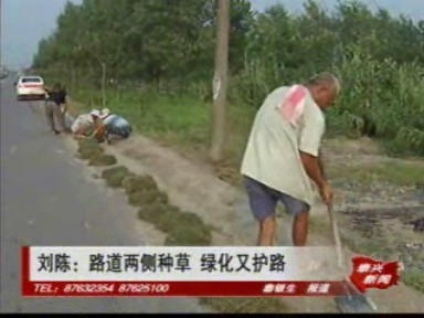 劉陳:路道兩側(cè)種草 綠化又護(hù)路
