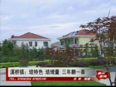 溪橋鎮:培特色 培增量 三年翻一番