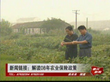 新聞鏈接:解讀08年農業保險政策