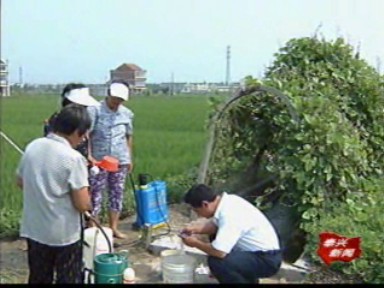 各地集中防治水稻穗期病蟲害