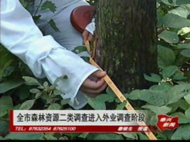 全市森林資源二類調查進入外業調查階段
