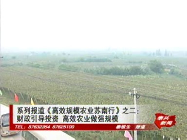 《高效規模農業蘇南行》之財政引導投資 高效農業做強規模