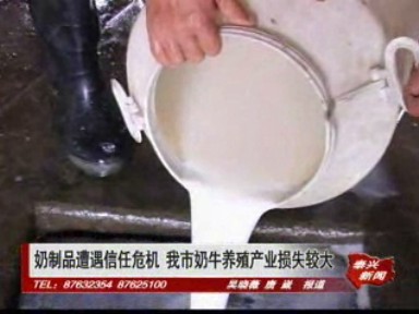 奶制品遭遇信任危機 我市奶牛養殖產業損失較大