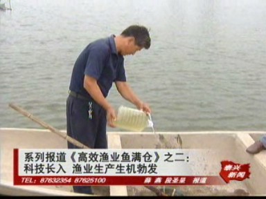系列報道《高效漁業魚滿倉》之二:科技長入 漁業生產生機勃發
