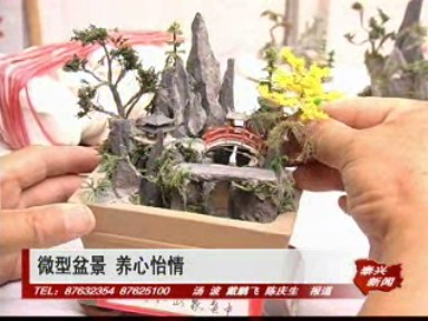 微型盆景 養心怡情
