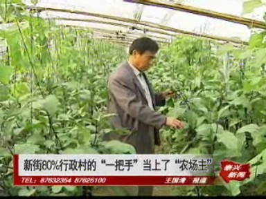 新街80%行政村的“一把手”當上了“農場主”