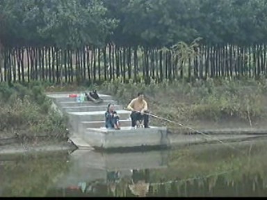 記者觀察:生態(tài)觀光農業(yè)要集聚發(fā)展