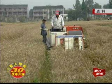 農(nóng)業(yè)機(jī)械化 解放生產(chǎn)力促進(jìn)農(nóng)民增收