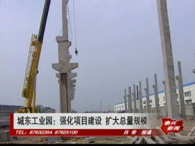 城東工業(yè)園:強化項目建設 擴大總量規(guī)模