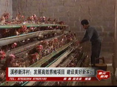 溪橋新洋村:發展高效養殖項目 建設美好新家園