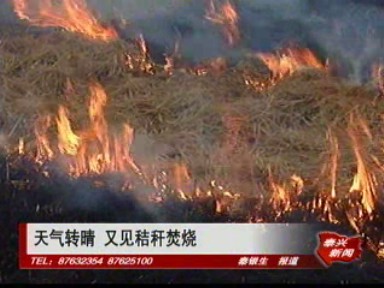 天氣轉晴 又見秸稈焚燒