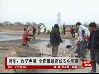 蔣華:攻堅克難 全面推進(jìn)高效農(nóng)業(yè)項目