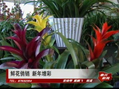鮮花俏銷 新年增彩