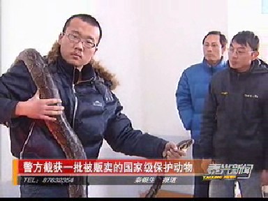 警方截獲一批被販賣的國家級保護動物