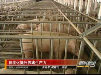 智能化提升養(yǎng)豬生產力