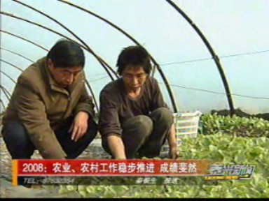 2008:農(nóng)業(yè)、農(nóng)村工作穩(wěn)步推進 成績斐然