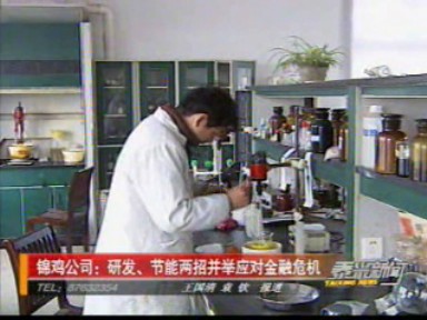 錦雞公司:研發、節能兩招并舉應對金融危機