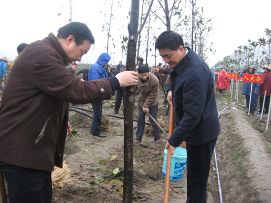 市四套班子領導及機關干部冒雨植樹