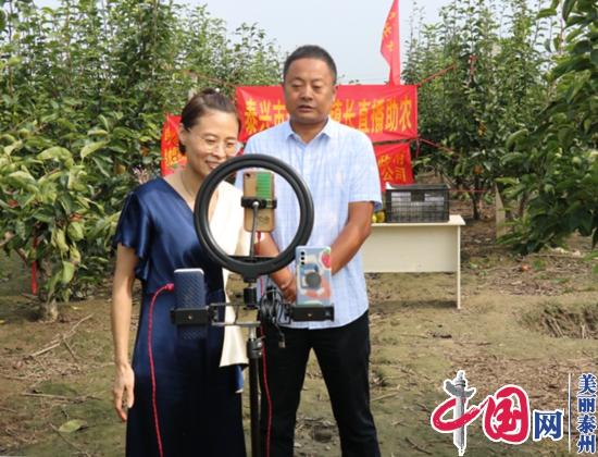 ̩dɺ(zhn)(lin) ~l(xing)塰d