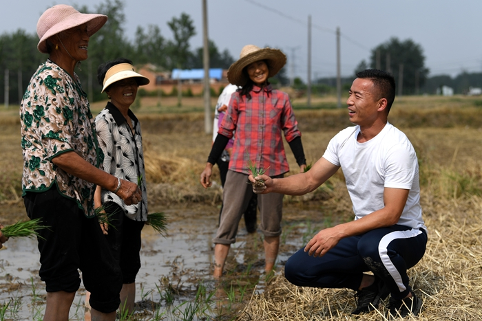 “三夏”時(shí)節(jié)戴虎在田間與村民們交流。受訪者供圖